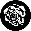 78084 Rose