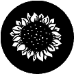 78177 Sunflower