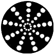 79702 Radial Circles